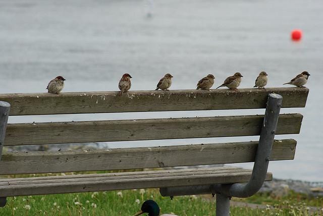 Unsloth - Dynamic 4-bit Quantization